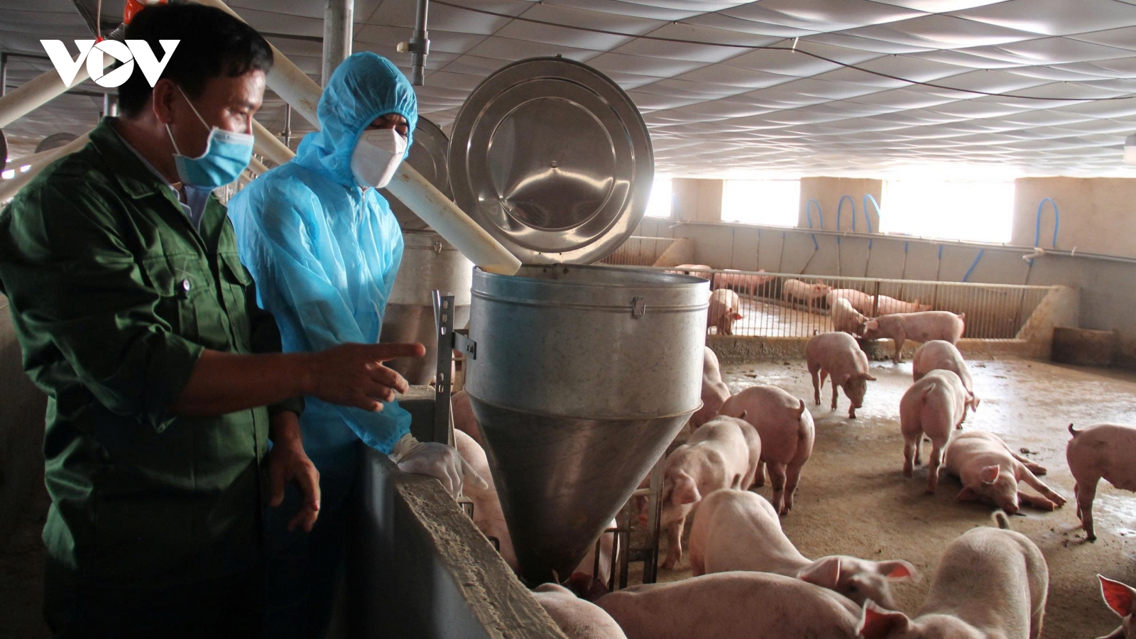 Đắk Lắk tăng cường công tác phòng, chống dịch bệnh trên đàn vật nuôi